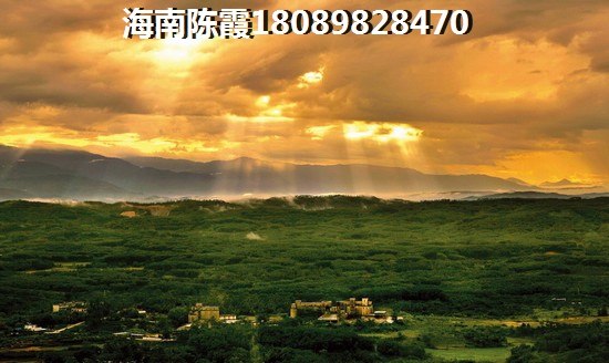 契税发票、购房发票丢失怎么办？