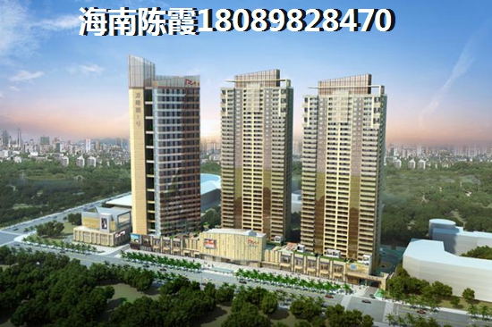 >2021定安买房解析