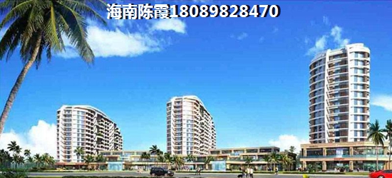 以后海南定安的房子生纸的空间大吗？