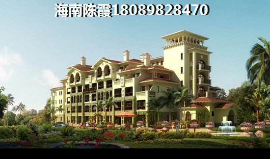 定安的房子还能生纸吗？