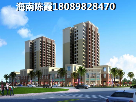 椰风·水漾人家房产touzi潜力分析及定安购房预算建议